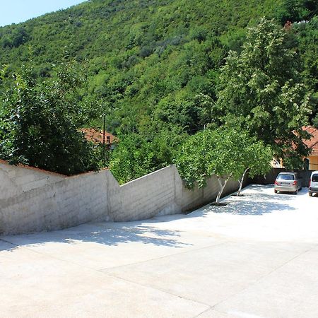 Apartment Bijelavista Herceg Novi Zewnętrze zdjęcie