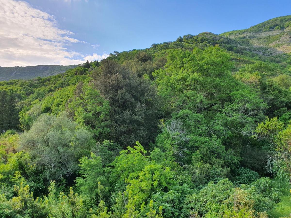 Apartment Bijelavista Herceg Novi Pokój zdjęcie