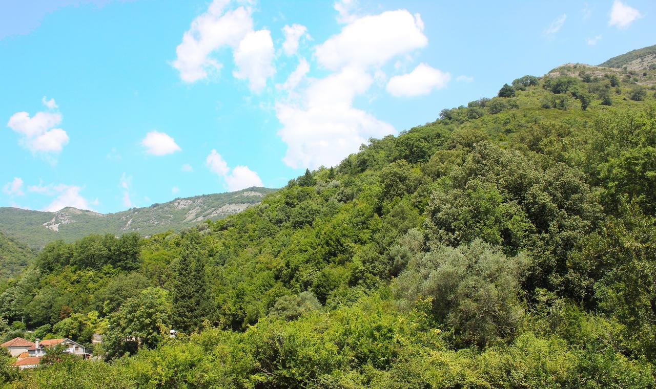 Apartment Bijelavista Herceg Novi Zewnętrze zdjęcie